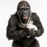 Profilbild von Wurdup2t2t