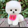 杯子狗's profile picture