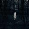 Ghost of the Forest 的头像