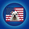 a full husk 🇺🇸 profil fotoğrafı