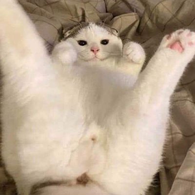 Bánh Bao's profile picture