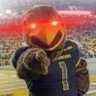 Golden Eagle Propaganda's profile picture