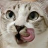 จุ้เหม่ง profil fotoğrafı