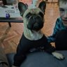 Profilbild von Branka