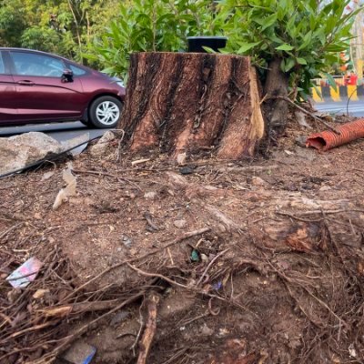 CitizensForHyd's profile picture