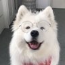 Eeearnn's profile picture