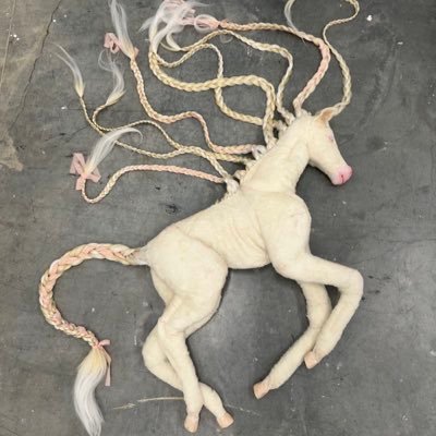 mirandamorrrrr's profile picture