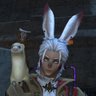 Profilbild von Ein The Pathfinder