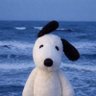 A's profile picture