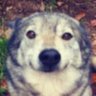 ernywr's profile picture