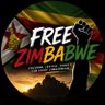 A Free Zim profil fotoğrafı