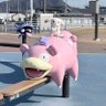とら's profile picture