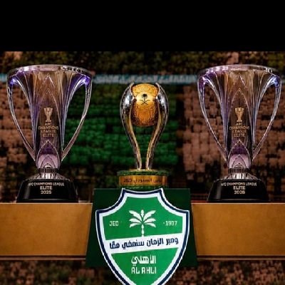 alialqarnii40q's profile picture