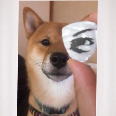 swallowtailbeni's profile picture