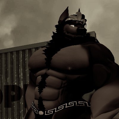 Arrow's profile picture