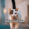 Belike Widuri profil fotoğrafı