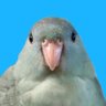 つゆざわ 的头像