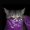 Profilbild von stark
