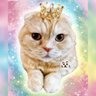 💎パンダ猫ぶちょはDay and Night🍯 的头像