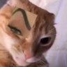 S's profile picture