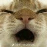 Profilbild von 嘉文