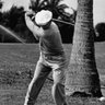 Hogan's Alley's profile picture