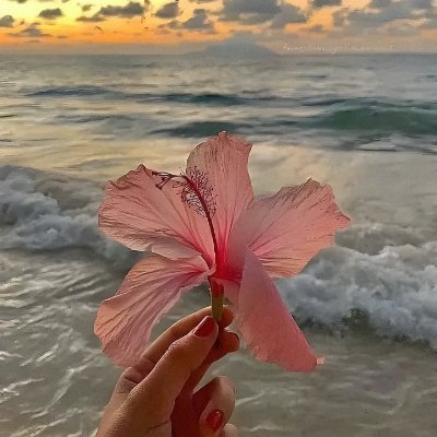 ⋆. 𐙚˚࿔ ara 𝜗𝜚˚⋆'s profile picture