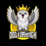 DoctorKingK 的头像