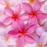 Фото профиля めぐ