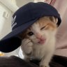 냥쫀 profil fotoğrafı