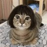 Jill profil fotoğrafı