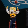 Фото профиля Nuggets Nation #1493
