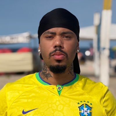 vitorberdi's profile picture