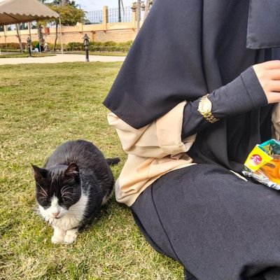 ⚜️ آزاد. ⚜️'s profile picture