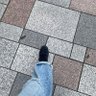 たまごん🌂's profile picture