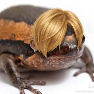 xo_ox49's profile picture