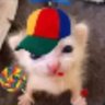 Hannah. profil fotoğrafı