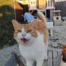 fran gar profil fotoฤrafฤฑ