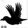 烏のかーくん(Raven)'s profile picture