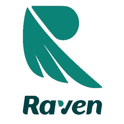 theravenpay's profile picture