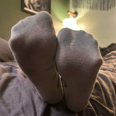Lola Hart's profile picture