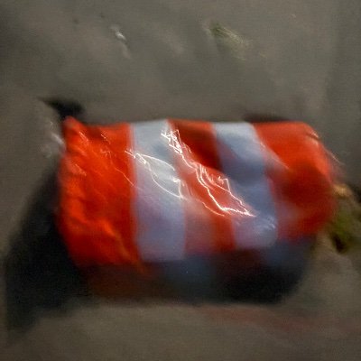 Lee's profile picture