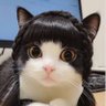 Elif's profile picture