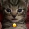 pascal's profile picture