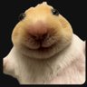 小林タロス's profile picture