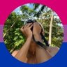 mimi²³ ☁️ profil fotoğrafı