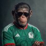 Mexichango's profile picture
