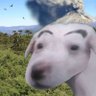 Dino Dieter profil fotoğrafı