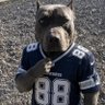 Profilbild von CJMONEY1210