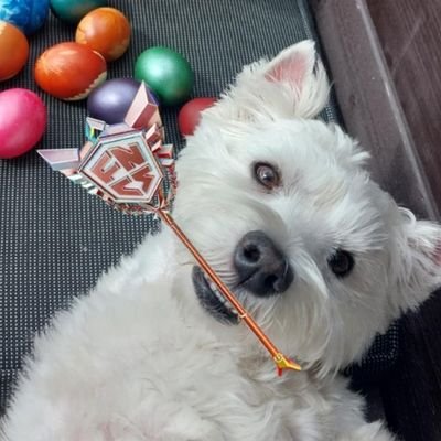 Reksnys's profile picture